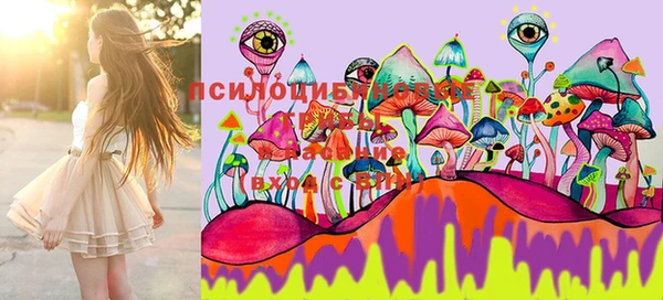 MESCALINE Козловка