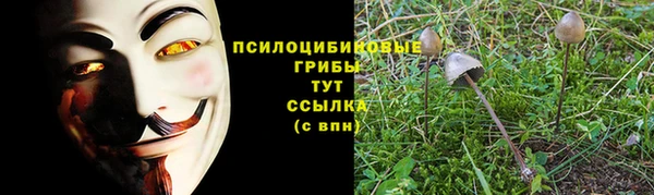 метадон Козельск